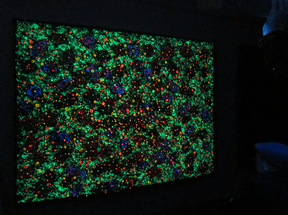 Cosmoi 1 (2013) with UV Light